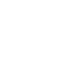 Service Disabled Veteran Owned Small Business Badge